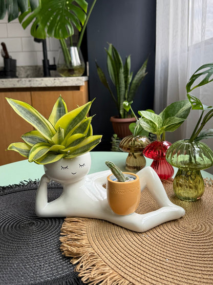 ✨️-The Chill-Out Planter