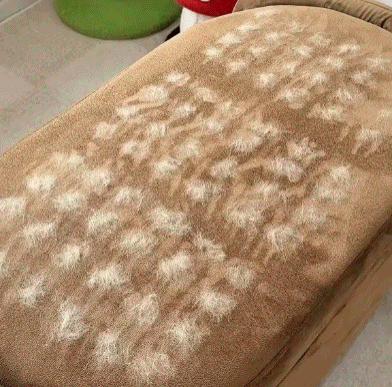 ✨️-Buy 1 Get 1 Free🔥Electrostatic Pet Hair Removal Grooming Gloves