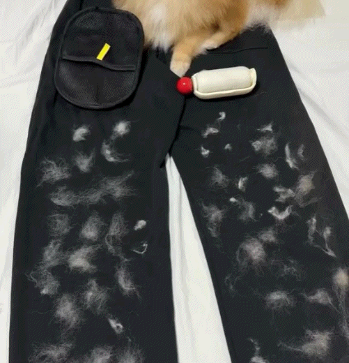 ✨️-Buy 1 Get 1 Free🔥Electrostatic Pet Hair Removal Grooming Gloves