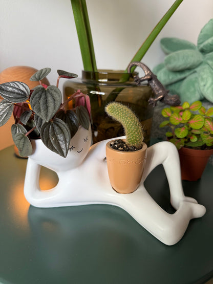 ✨️-The Chill-Out Planter