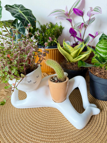 ✨️-The Chill-Out Planter