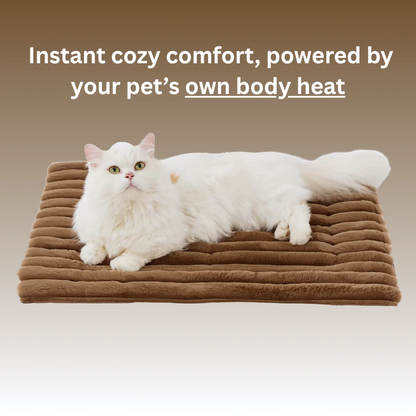 ✨️-LAST DAY SALE 50% OFF🔥 Self Warming Pet Bed, Small Self Heating pet Crate Pad