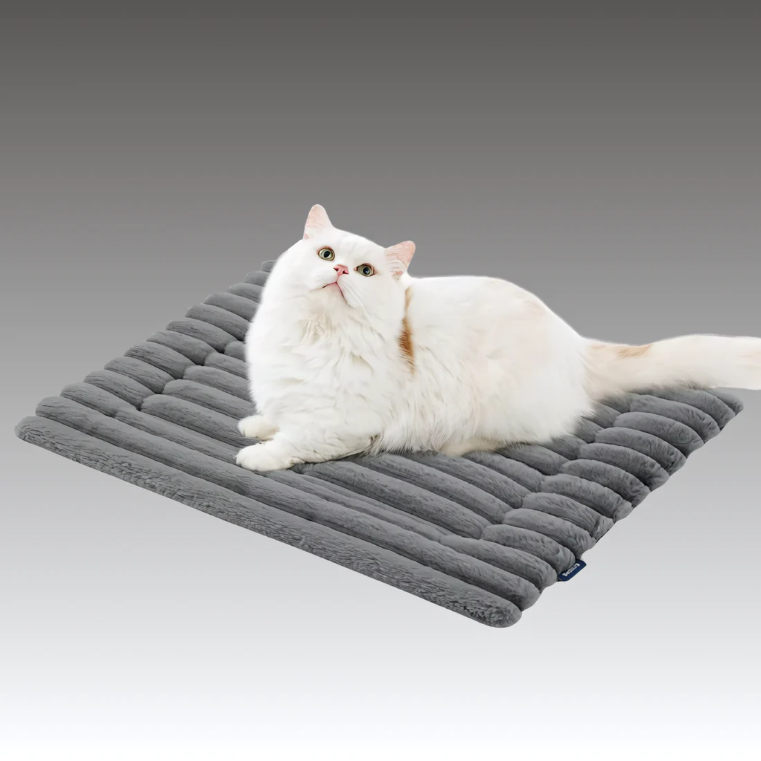 ✨️-LAST DAY SALE 50% OFF🔥 Self Warming Pet Bed, Small Self Heating pet Crate Pad