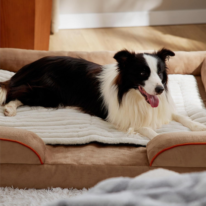 ✨️-LAST DAY SALE 50% OFF🔥 Self Warming Pet Bed, Small Self Heating pet Crate Pad