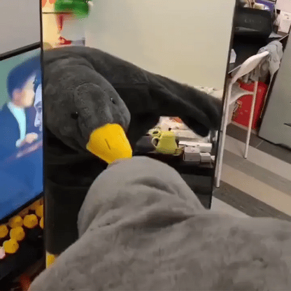 ✨️Free shipping🔥Wearable Silly Goose Blanket