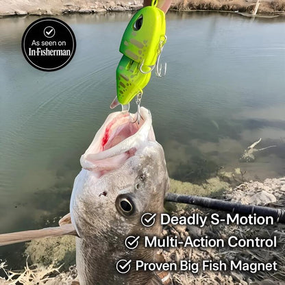 ✨️-LAST DAY 50% OFF🔥GhostShad - 4 Pcs Set